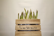 Load image into Gallery viewer, Boite de tulipes