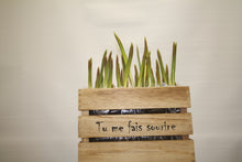 Load image into Gallery viewer, Boite de tulipes