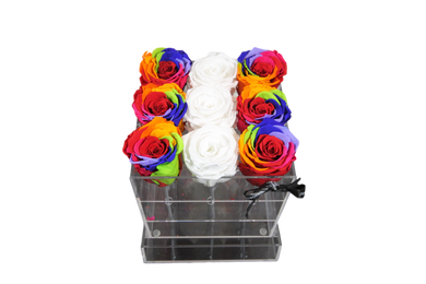 Assortiment de blancs arc-en-ciel