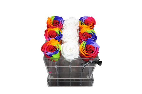 Assortiment de blancs arc-en-ciel