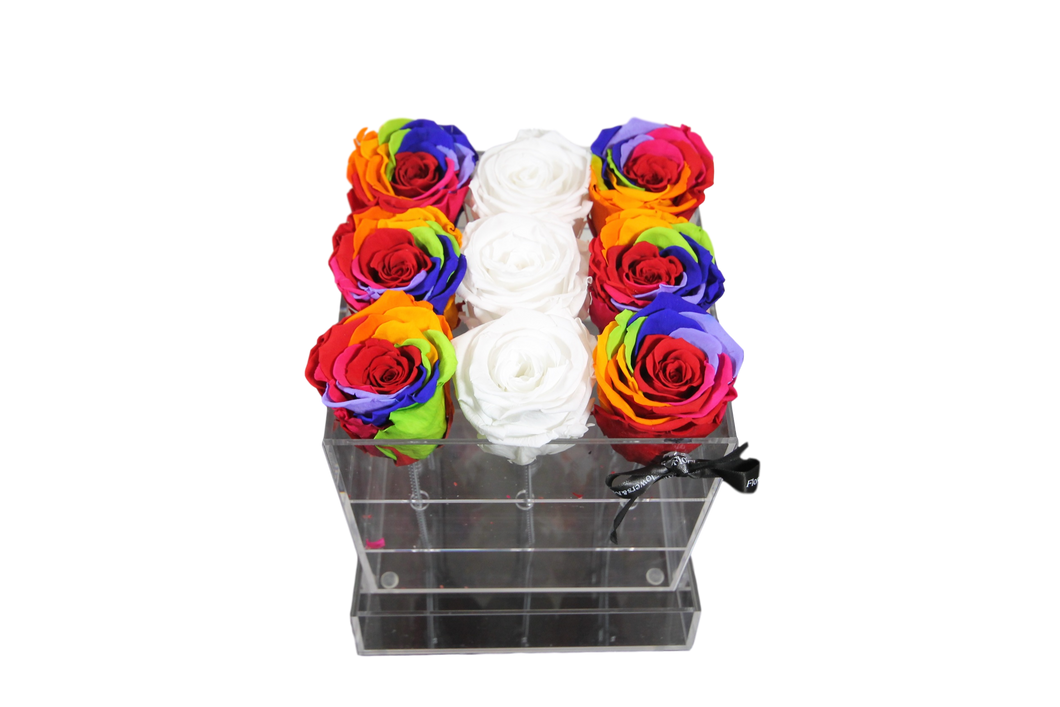 Rainbow White Assortment