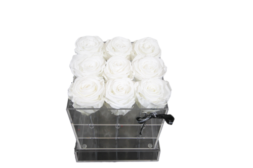 Rose éternelle blanc