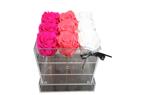 Assortiment Eternel rose