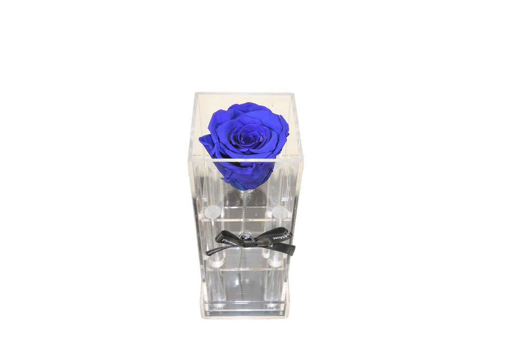 Rose éternelle bleue