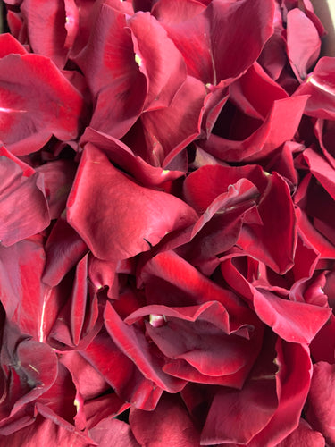 Petale de rose