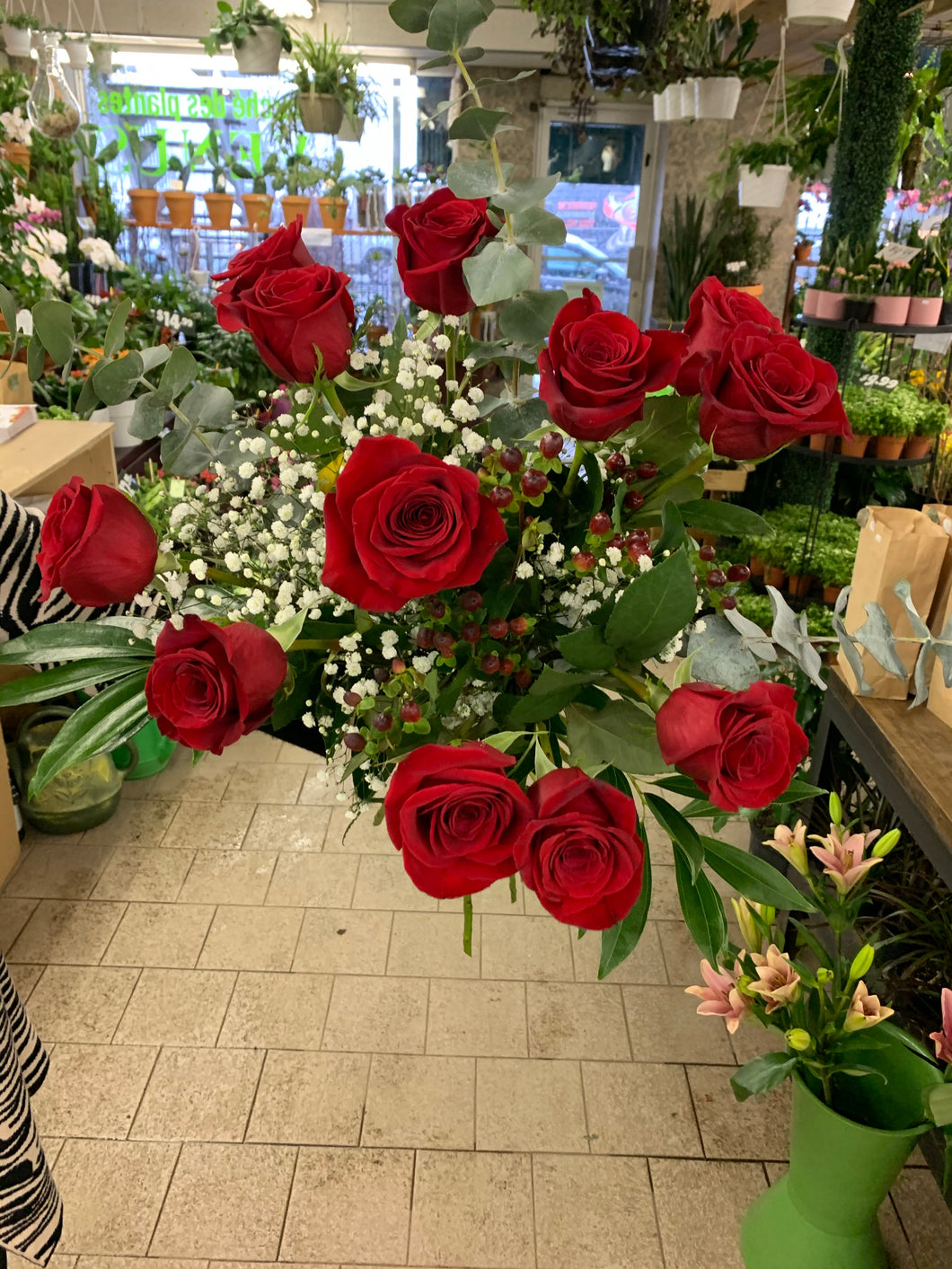 Rose